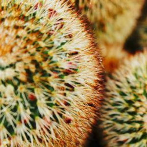 Meet your Posher, Katy